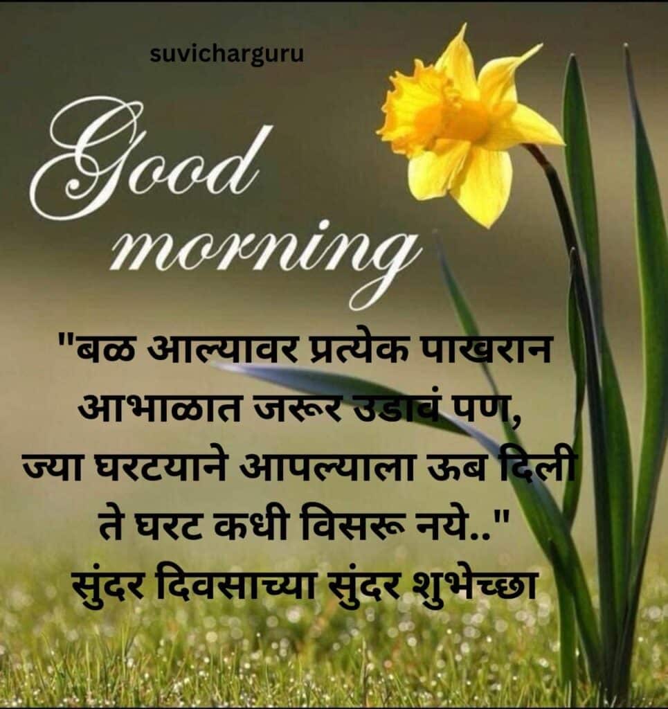 Good Morning Motivational Quotes in Marathi